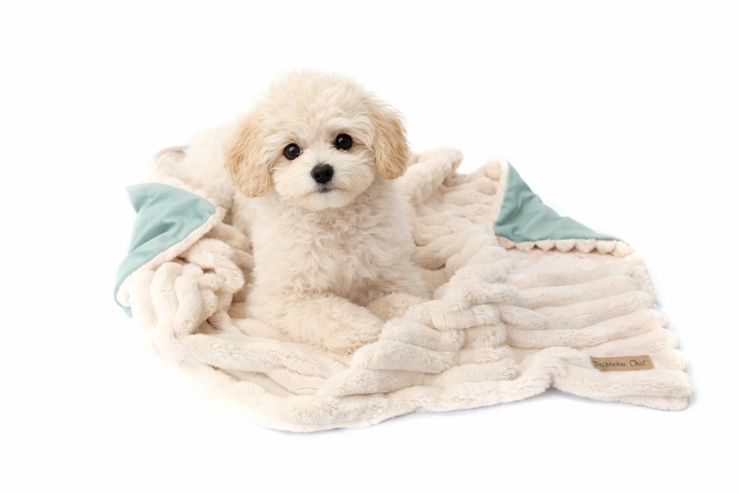 Manta Dupla Face para Cães e Gatos – Tamanho M - Cor Creme / Verde