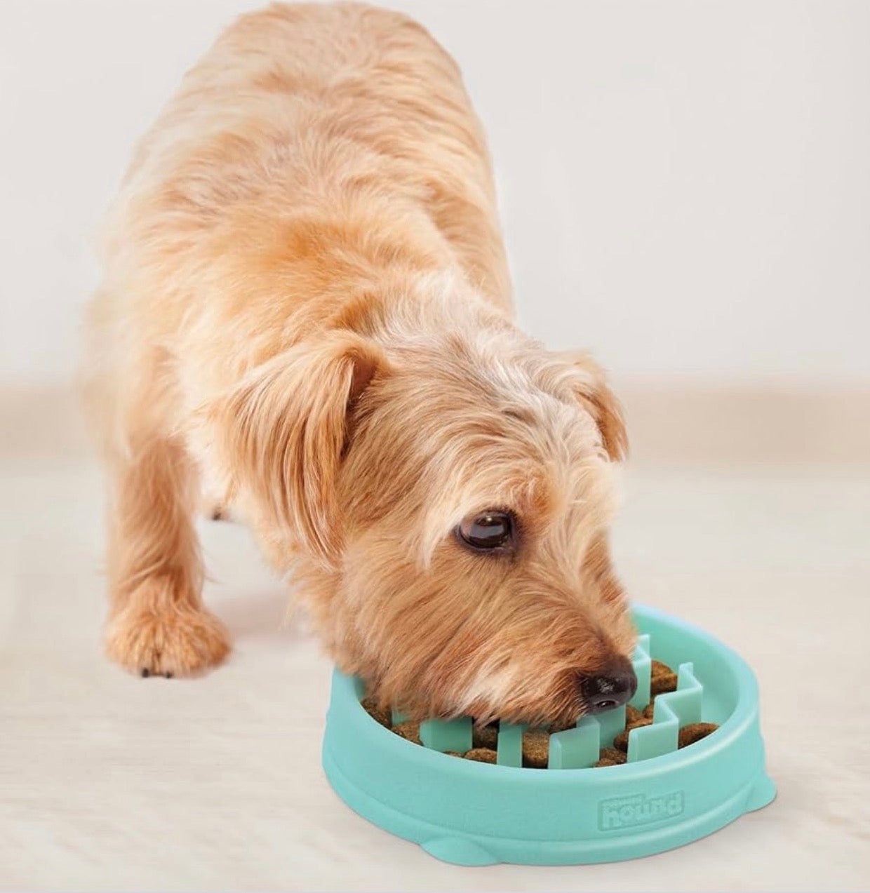 Comedouro Lento Slow Feeder Fun Feeder – Outward Hound - Tam XS