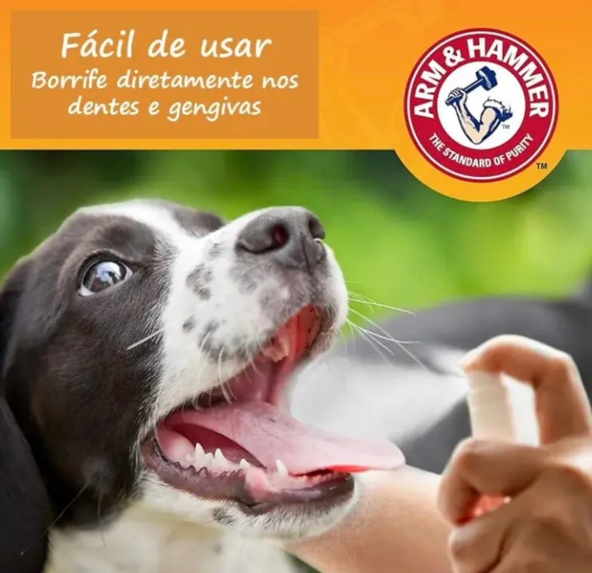 ARM & HAMMER Complete Care Spray Bucal Enzimático 177,4mls