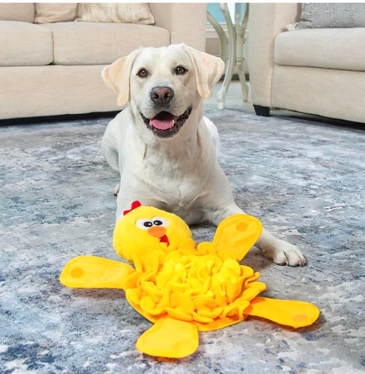 Brinquedo de fuçar para Enriquecimento Ambiental- Snuffle Palz - Outward Hound- Chicken