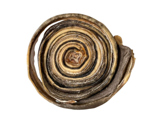 Mordedor Natural Super Magnífico - Couro Bovino desidratado em formato de caracol - Tam G - 1 Un - Alecrim Pet