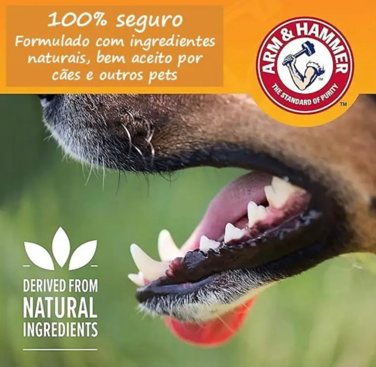 ARM & HAMMER Complete Care Spray Bucal Enzimático 177,4mls