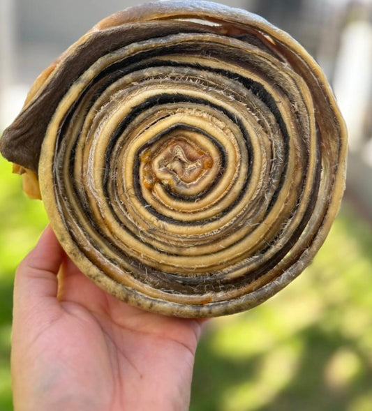 Mordedor Natural Super Magnífico - Couro Bovino desidratado em formato de caracol - Tam G - 1 Un - Alecrim Pet