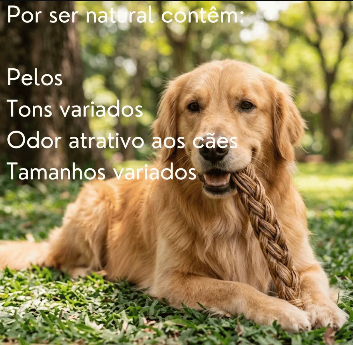 Mordedor Natural Trança Com Pêlos - Tam M - 1 Un - Natuka