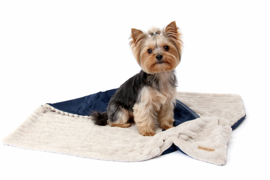 Manta dupla face para cães e gatos - Tamanho M - Off White / Azul